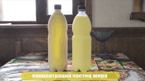 Интересные факты про замораживание молока / Как заморозить молоко #молоко #продукты #здоровье