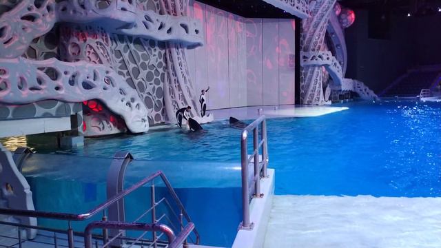 Косатка смотреть онлайн