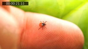 Нужно ли гасить СОДУ кипятком? Что происходит с содой при нагреве выше 60°C? Научное обоснование!