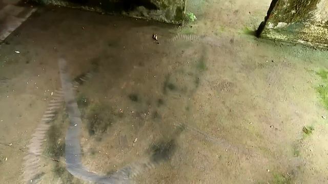FOI ESPETACULAR O QUE ENCONTRAMOS NESSE CASARÃO ASSUSTADOR! смотреть онлайн