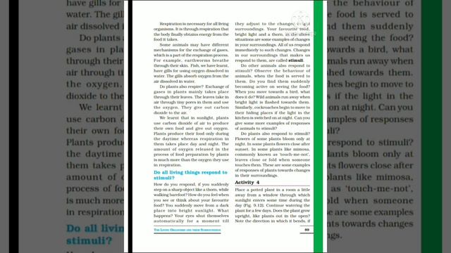 Explanation Of Chapter 9 Part 2 From Class 6th