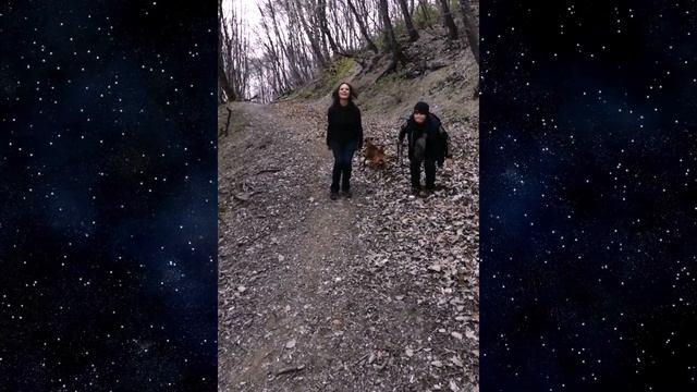 Путь лебедя) смотреть онлайн