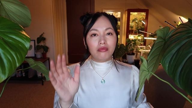 RARE PHILODENDRONS | DEAN MCDOWELL VS  PASTAZANUM