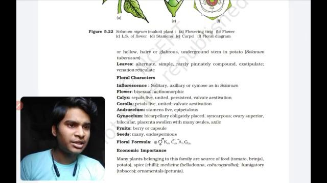 Most Important Topics Structural Organization In Organisms NEET 2021|11th Biology | Lokesh Sharma