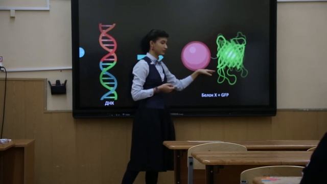 Флуоресцентные белки: раскраска для клетки смотреть онлайн