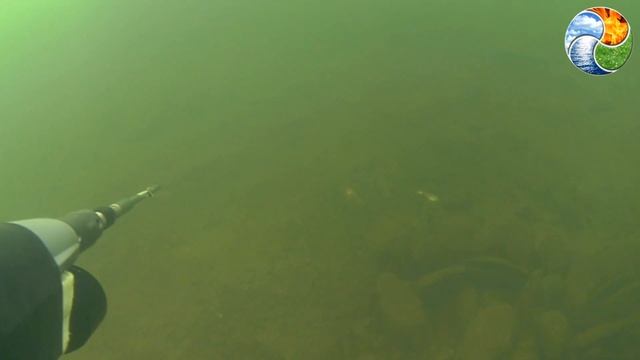 Открытые соревнования по подводной охоте 23.02.2017 года в городе Заинск! смотреть онлайн