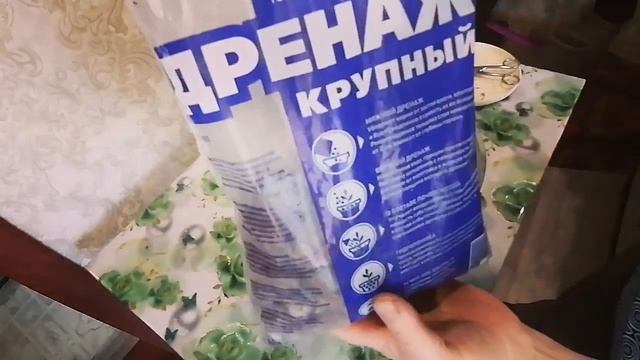 Драцена. Делаю обрезку драцены. Пересаживаю драцену.