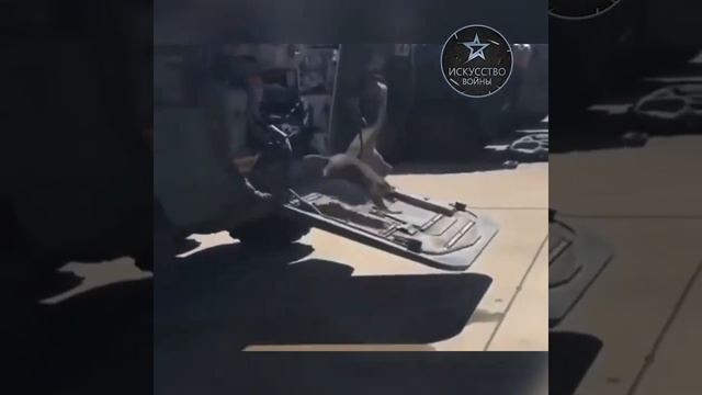 опоссум против американских военных смотреть онлайн