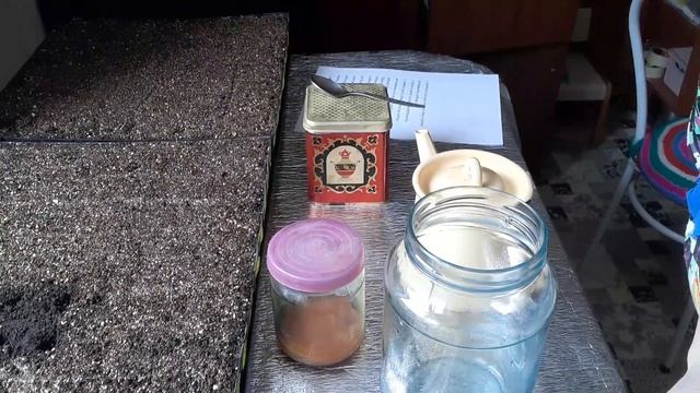 Время пришло. Как я выращиваю чайный гриб. смотреть онлайн