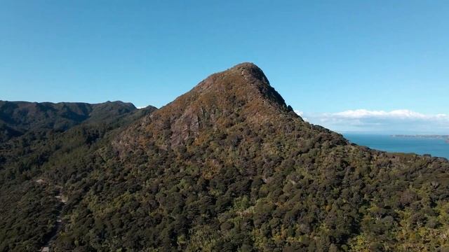 Путешествие одного дня в Новой Зеландии (Whatipu beach, caves, huia dam. dams) смотреть онлайн