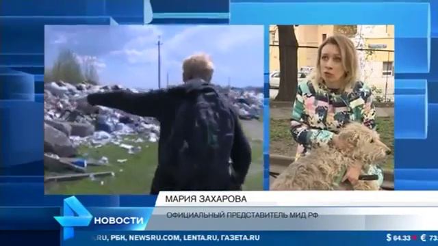 В Подмосковье полиция выясняет, как возникло массовое захоронение собак смотреть онлайн