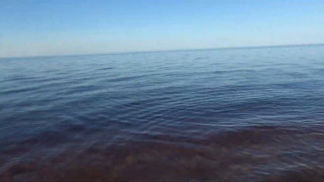 На берегу Ильменя. Немецкое военное захоронение. смотреть онлайн