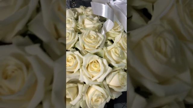 51 Роза Аваланш в корзине смотреть онлайн