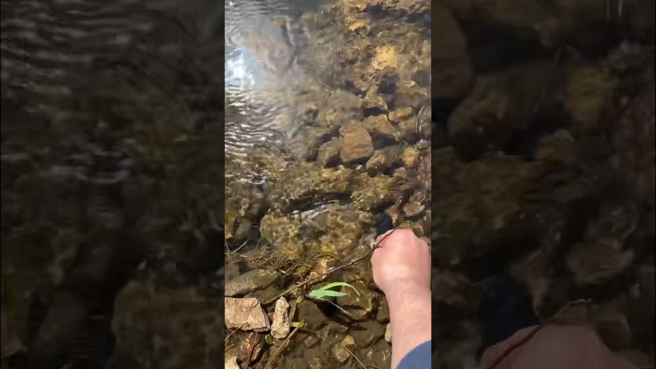 Нашел в реке на сельском пляже классный раскладной нож смотреть онлайн