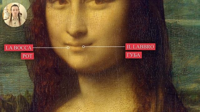 части тела на итальянском языке. Итальянский язык для начинающих. Итальянский с нуля смотреть онлайн