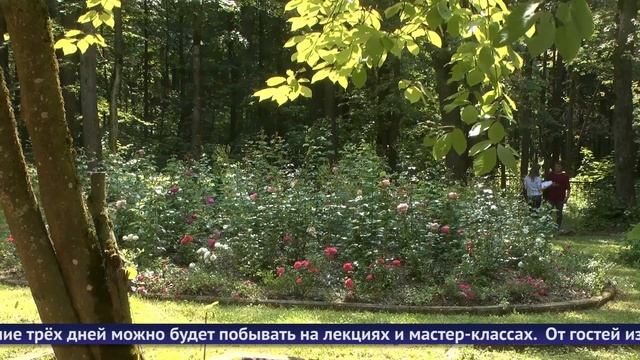 Обнинские новости (за 7 июля 2023)