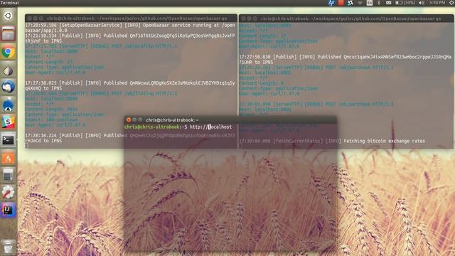 OpenBazaar 2.0 9/2/2016 смотреть онлайн