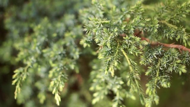 Мы всегда рады видеть Вас в нашем медицинском центре! смотреть онлайн