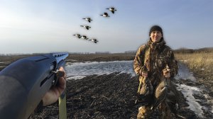 Ого сколько много гусей. Охота на гуся 2022