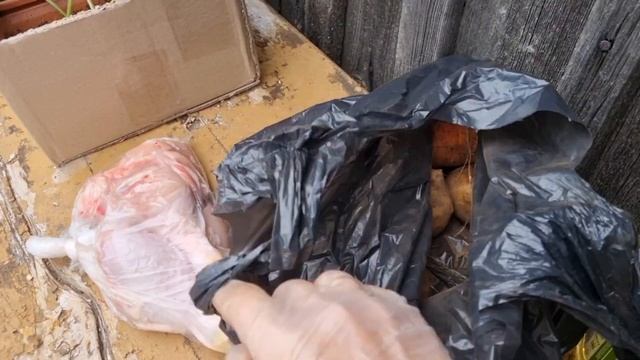 Перезимовали наши томаты/Открытый урок у Ани??/Тестим казан "Кукмара"из светофора смотреть онлайн