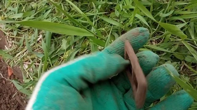 Монеты, Конская упряжь, пряжки, пуговицы,. Старая деревня дарит находки смотреть онлайн