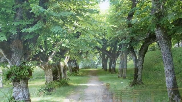 Katvaru liepu parks, muiza смотреть онлайн