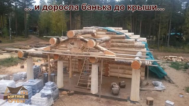 Изготовление сруба бани из бревна. Фотоотчет. смотреть онлайн