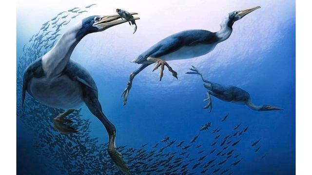 Выставка Тетис