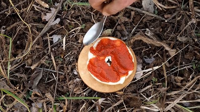 Solo Overnight Sleeping Inside a Coyote Den in The Woods and Pizza on a Bagel смотреть онлайн