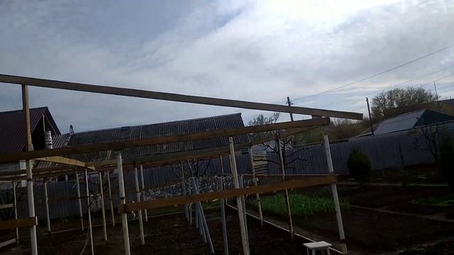 сеем базилик, кинзу,петрушку,дела домашние #базилик #кинза #домашниехлопоты смотреть онлайн