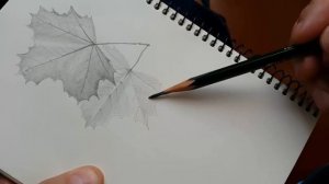 Как нарисовать ЛИСТ клена КАРАНДАШОМ! Учимся рисовать Лист КЛЕНА  Карандашом! Как Научиться РИСОВАТ