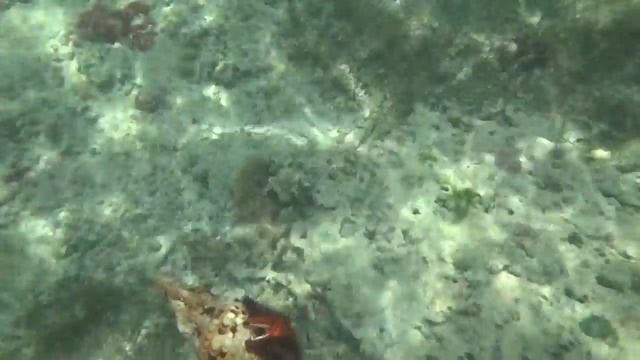 Ах эти глазки смотреть онлайн