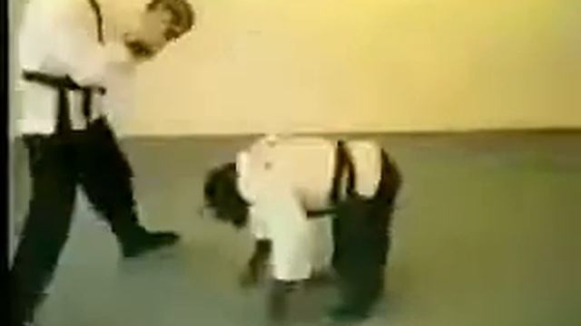 Видео приколы Обезьяна каратистка смотреть онлайн