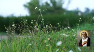 Исповедь, духовник. Прп. Серафим Саровский / Наставления старцев Саровской пустыни