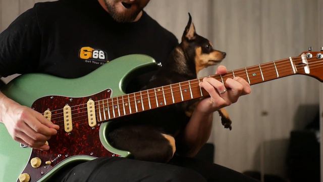PRS Silver Sky SE vs SIRE S7 Vintage - Which Should You Buy and Why? смотреть онлайн