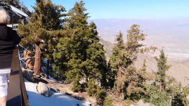 What To Do In Palm Springs & Oceanside California | Vlog#4 | Palm Springs Vlog [ENG SUB]