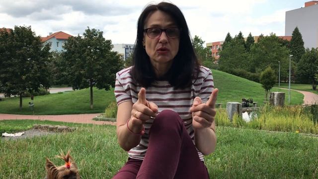 Как перевезти собаку в Чехию/Перевозка животных за границу/Документы смотреть онлайн