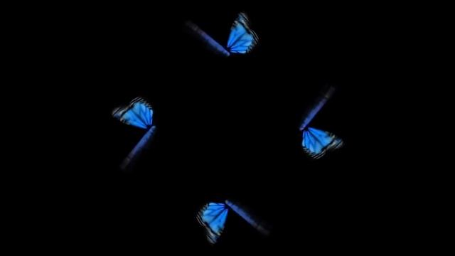 Holograms: Jellyfish, Butterfly, Fireworks, Bird