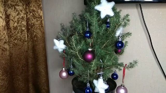 С наступающим Новым годом! Встречаем год вместе с живой елочкой. смотреть онлайн