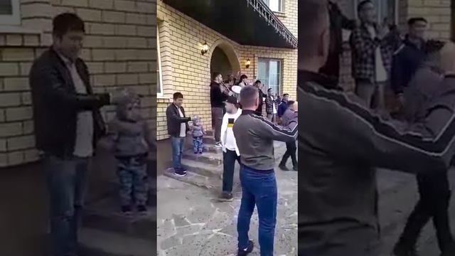 Туй дар Россия смотреть онлайн