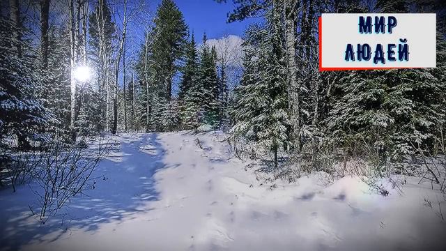 В офисе все сотрудники издевались над новенькой, но когда стало известно какую тайну из прошлого он смотреть онлайн