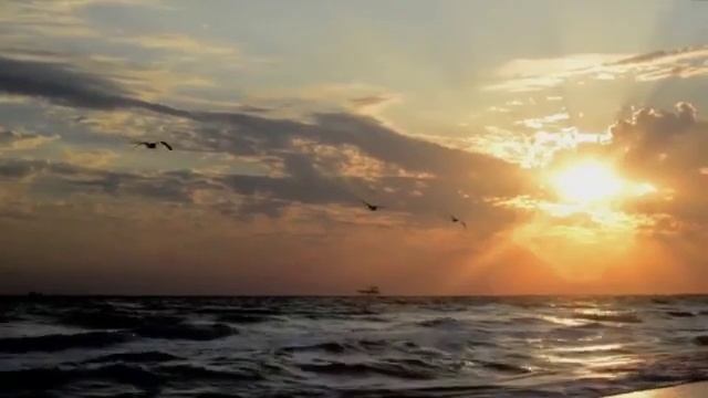 6 октября 2019 г. смотреть онлайн