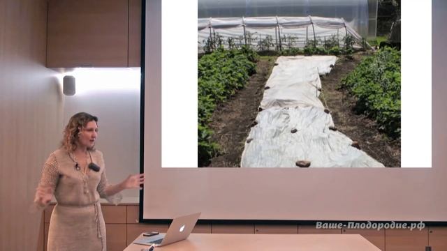 Садово-огородный сезон. С чего начать и как закончить