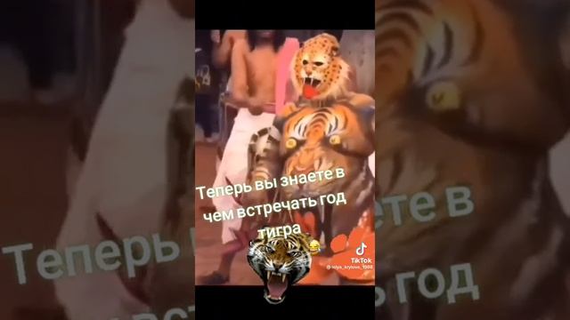 год тигра. mp4 смотреть онлайн