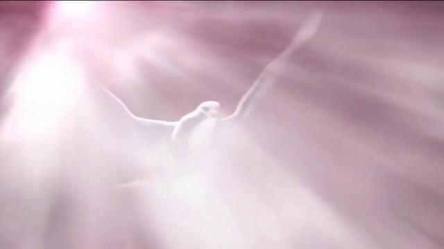 ФУТАЖИ ДЛЯ СВАДЬБЫ КОЛЛЕКЦИЯ смотреть онлайн