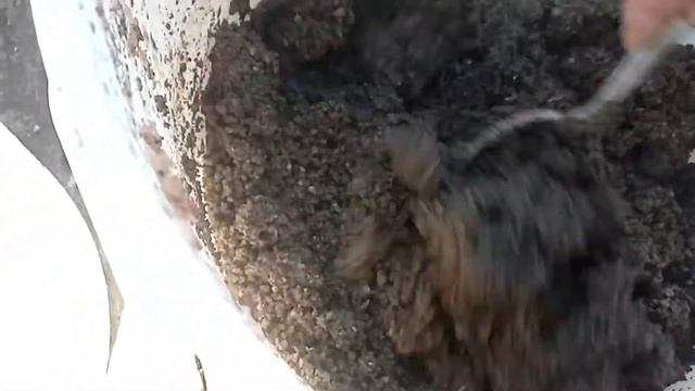 НУЖНО ЛИ ЗАПАРИВАТЬ КОМБИКОРМ И В КАКОЙ ВОДЕ смотреть онлайн