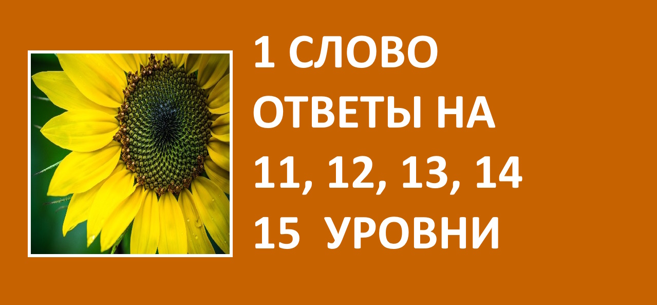 Игра 1 слово ответы на 11, 12, 13, 14, 15 уровни смотреть онлайн