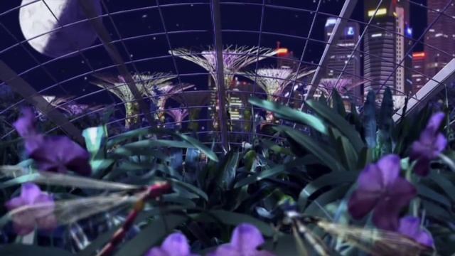 Designing Gardens by the Bay | Grant Associates смотреть онлайн