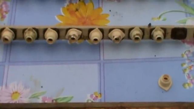 Вывод маток НИКОТ смотреть онлайн