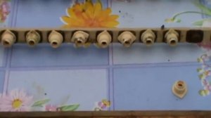 Вывод маток  НИКОТ